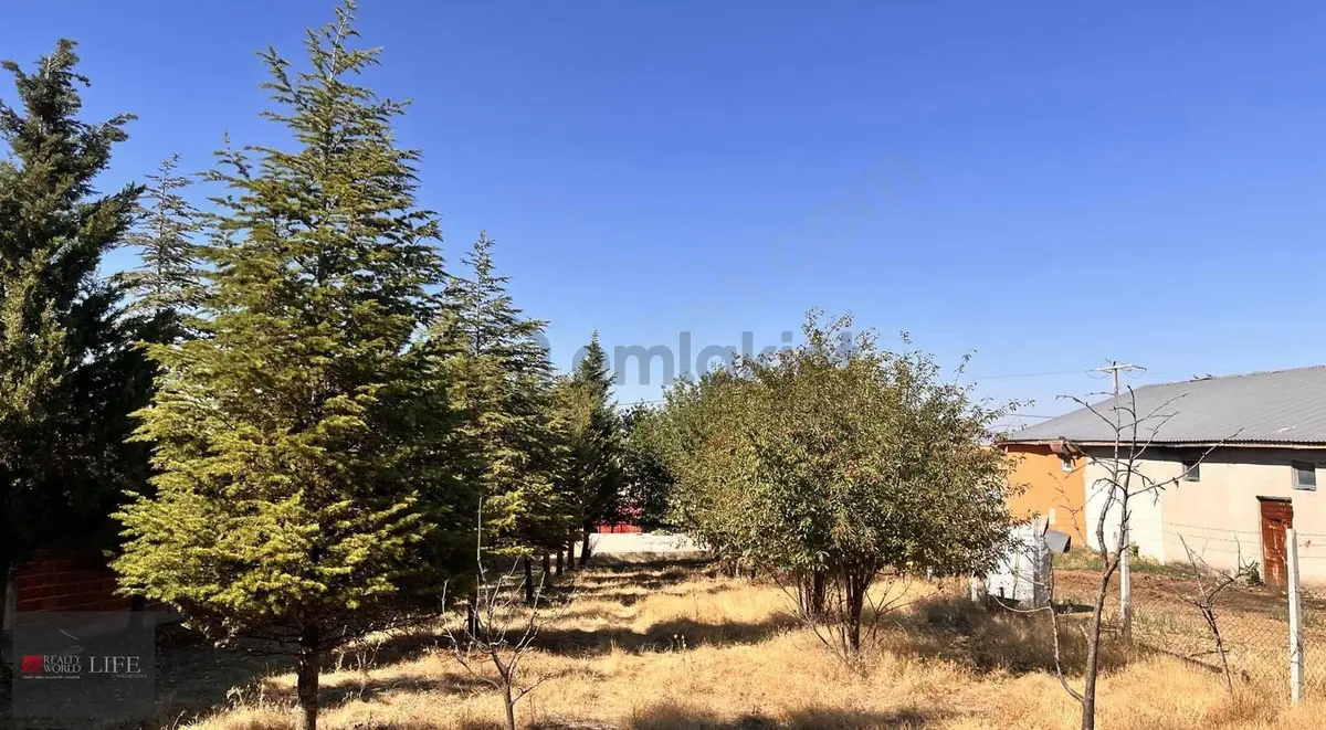 Gülpınar Mah. İmar Sınırında Satılık 1.208 m² Tarla fotoğraf 2