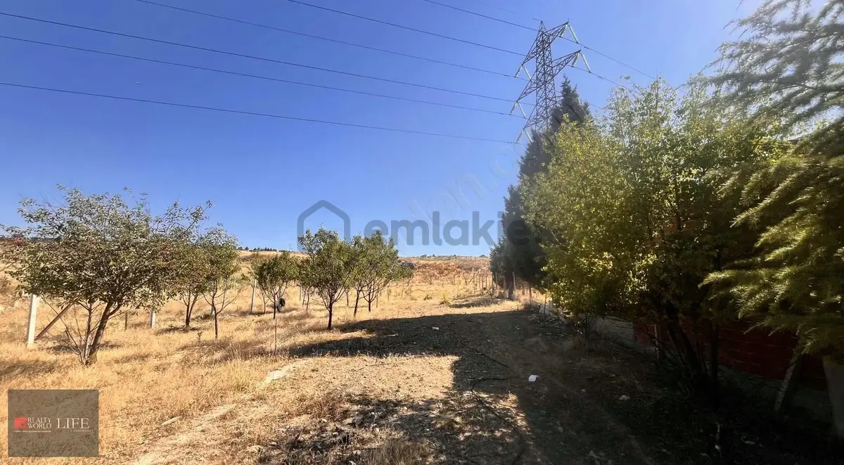 Gülpınar Mah. İmar Sınırında Satılık 1.208 m² Tarla fotoğraf 4
